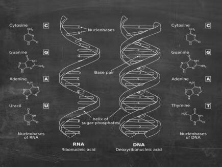 DNA Metal Poster
