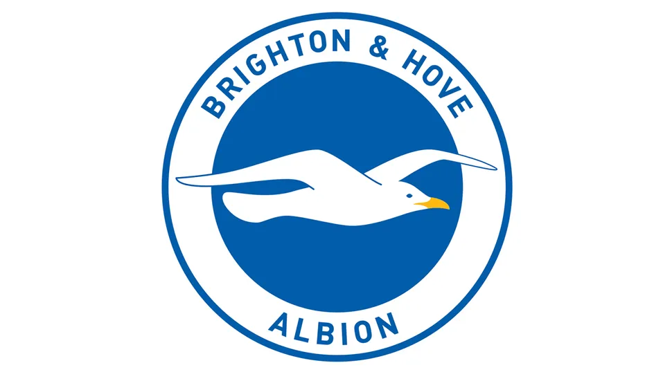 Gifts for Brighton & Hove Albion fans