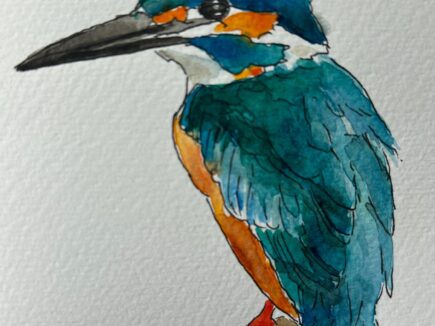 British Birds Hand Painted Watercolour Gift Card